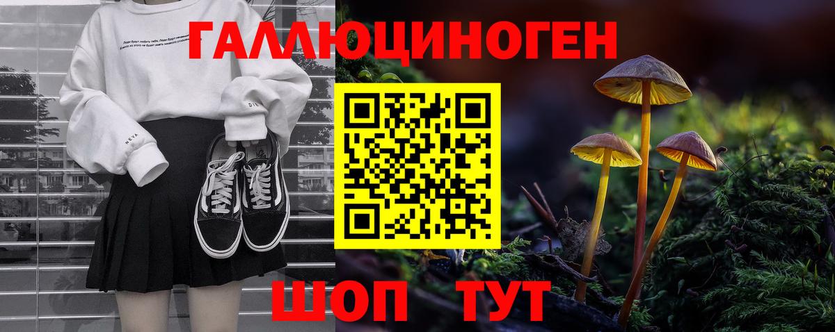 Галлюциногенные грибы Magic Shrooms  Вход с VPN  Новочебоксарск  Псилоцибиновые грибы мицелий 